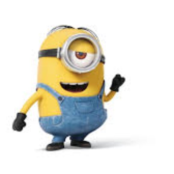 NWT DICKIES DENIM OVERALLS + MINIONS HAT! - Picture 16 of 16